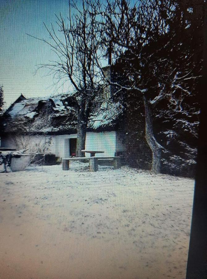 Casa Beata Villa Lesencetomaj Buitenkant foto