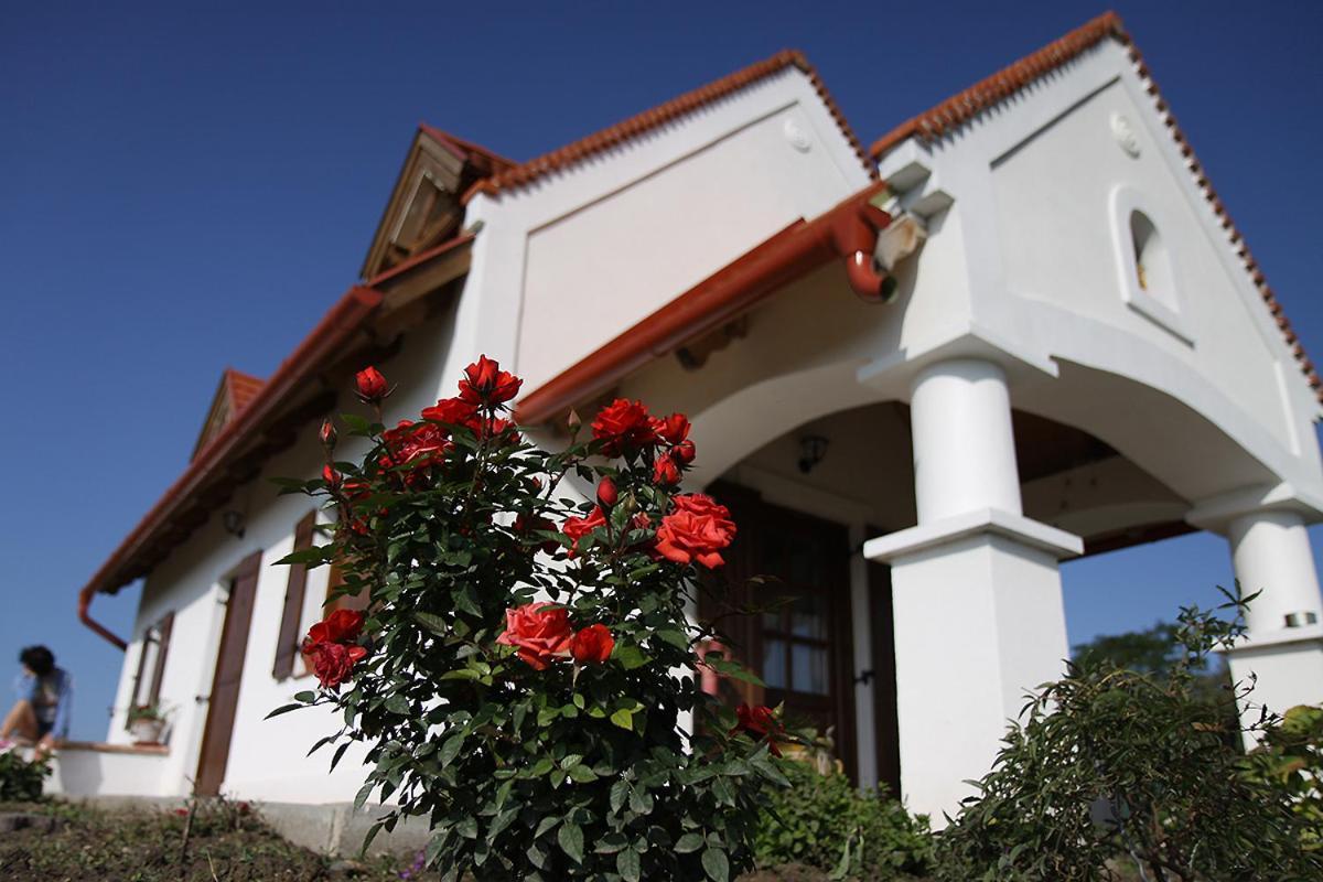 Casa Beata Villa Lesencetomaj Buitenkant foto