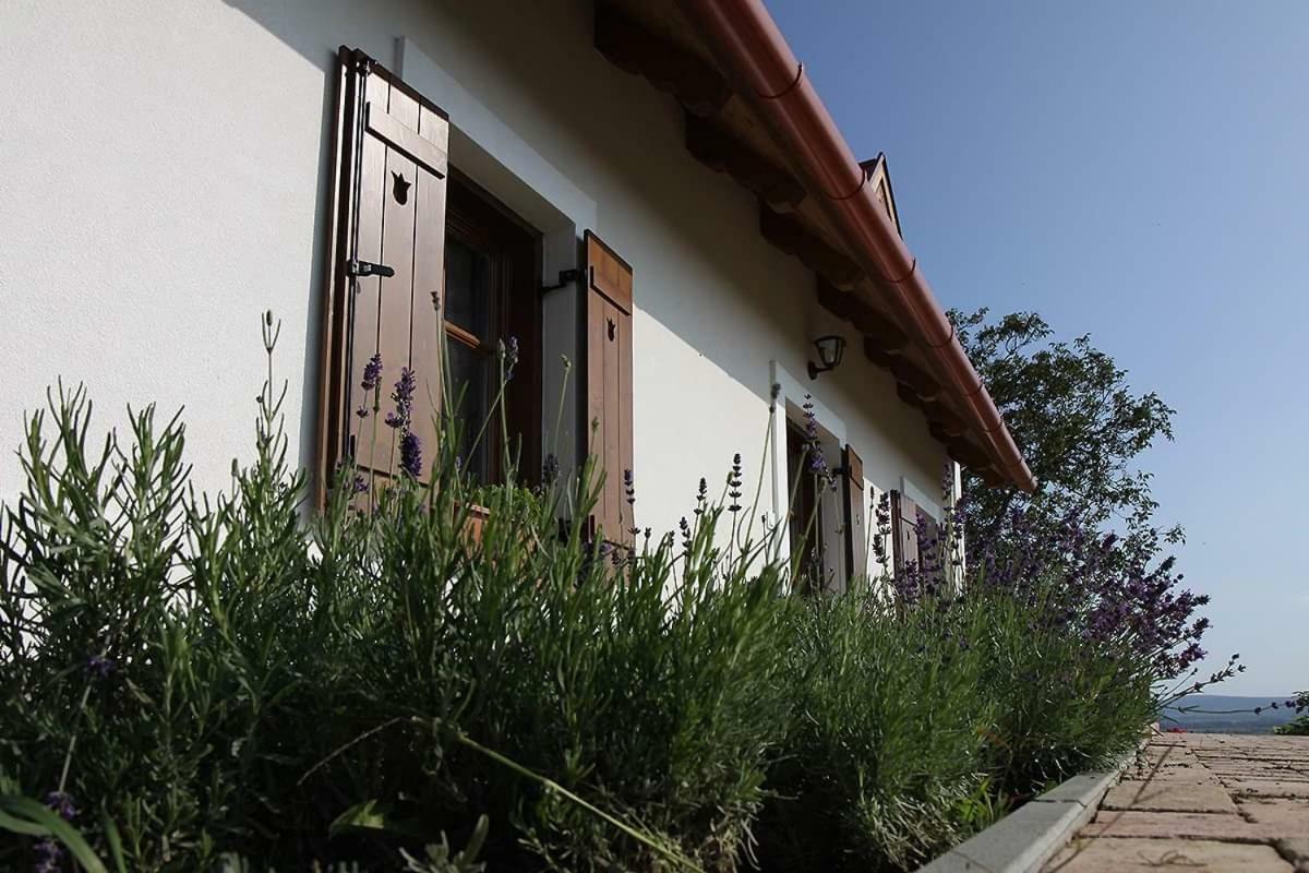 Casa Beata Villa Lesencetomaj Buitenkant foto
